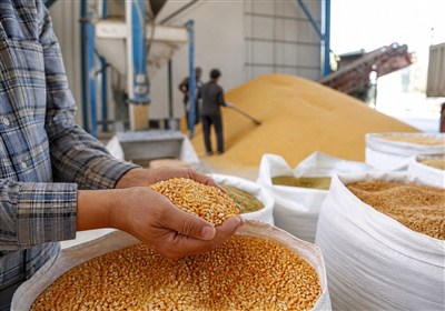 آزمون ثبات بازار کالاهای اساسی: از ذخیره‌سازی ۶ ماهه تا توزیع بدون تورم