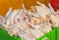 افزایش ۷۰ هزار تومانی قیمت مرغ هیچ ارتباطی با طرح تورم صفر شهرداری ندارد