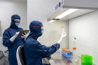 آزمایشگاه مرجع طاعون دوباره فعال شد؛ آیا باید نگران «مرگ سیاه» باشیم؟