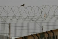 شکنجه‌گاه‌های وحشتناک اسرائیل؛ افشاگری جدید هاآرتص
