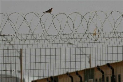 شکنجه‌گاه‌های وحشتناک اسرائیل؛ افشاگری جدید هاآرتص