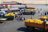 تکذیب ممنوعیت تردد مسافران و کامیون‌های صادراتی از مرز مهران