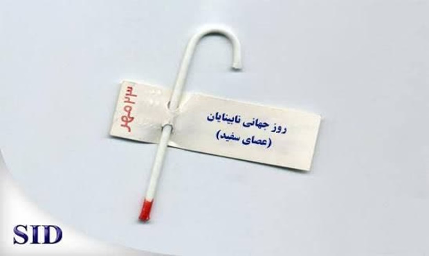 فراتر از عصای سفید؛ شهری که باید برای همه قابل دسترس باشد